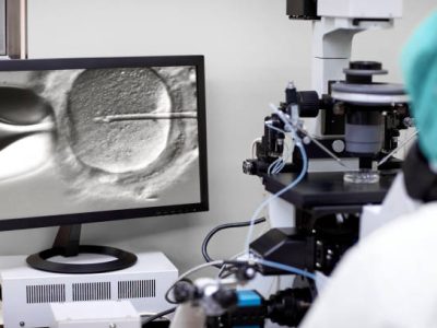 Cropped image of screen showing researcher looking in a microscope fertilising an egg. Intracytoplasmic sperm injection.